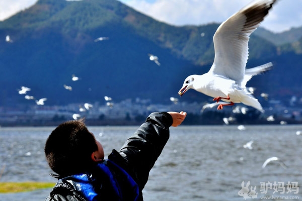 爱上南国灿烂阳光  2012元旦昆明自助游攻略3