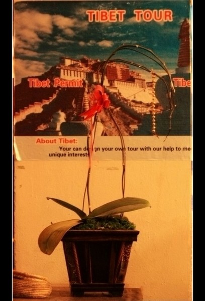 【在路上】昆明的夜（连载1）2.141