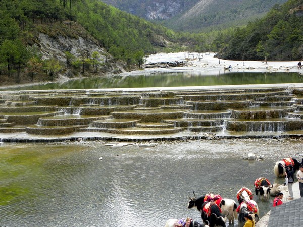 一个80的北京大爷拍的丽江片片，，真是不错！67