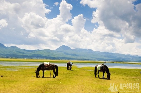 丽江周边好玩的地方 丽江周边一日游 丽江拉市海1