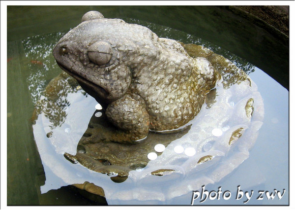 重庆——磁器口3