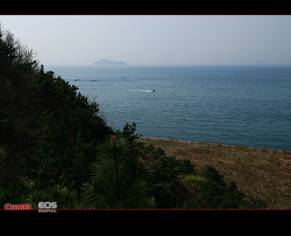 2009年51看海3--滨海路贝壳博物馆至付家庄徒步 -3