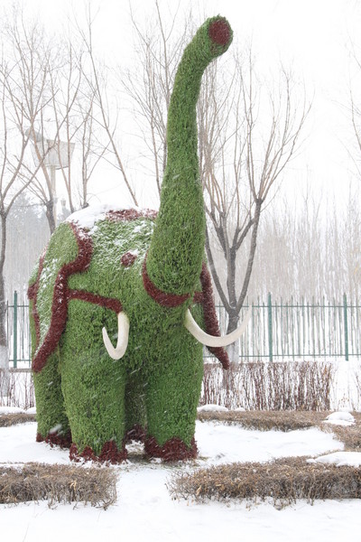 冰天雪地元宵节14