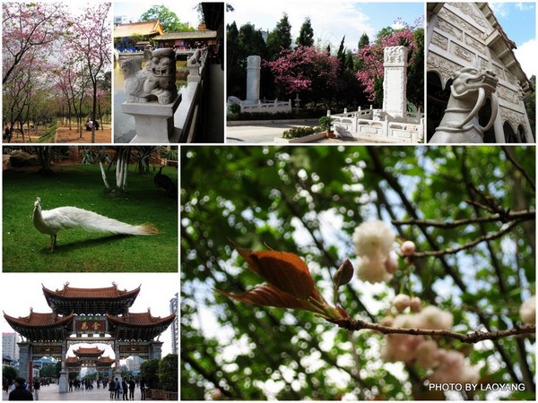 昆明——开在记忆中的春城1