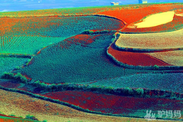 昆明：东川红土地2