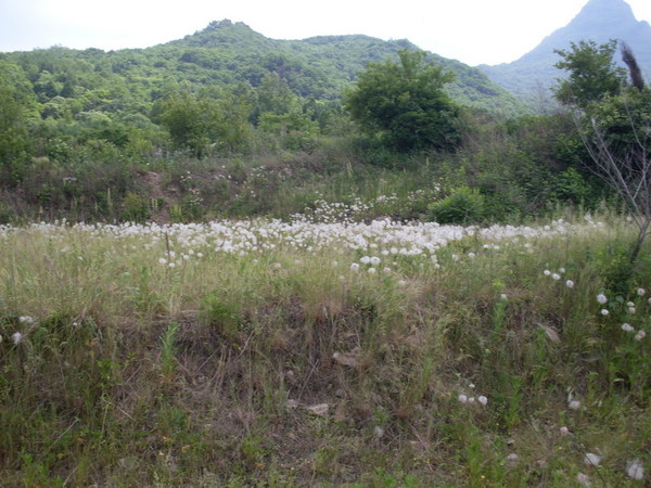 六月登山记之——帽儿山3