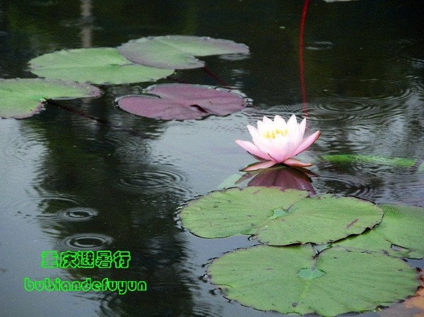 【重庆避暑行】(3)巴郡禅世界6