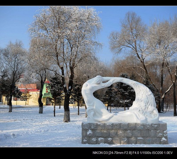 银白假期___没啥好看的雪雕3