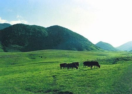 重庆九大景区 寻觅返璞归真1