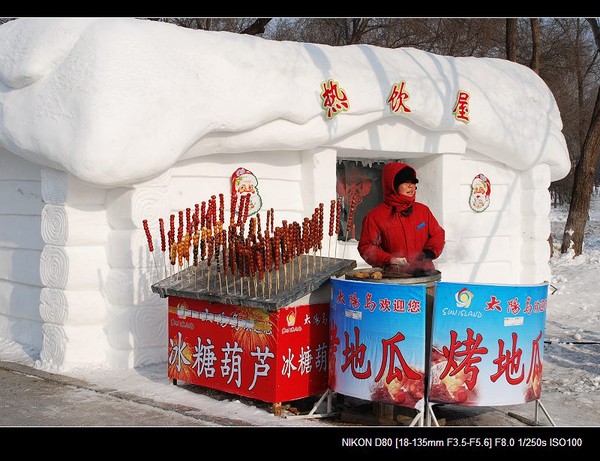银白假期___没啥好看的雪雕14