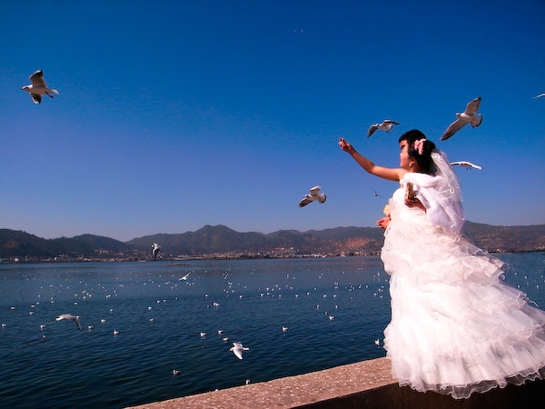 红嘴鸥到来－－昆明滇池1