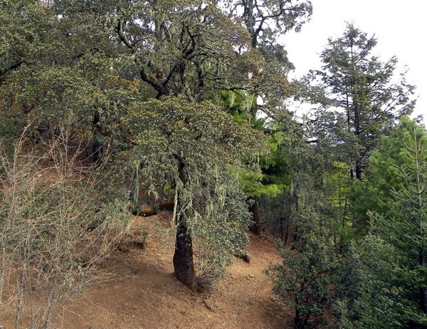 一个80的北京大爷拍的丽江片片，，真是不错！30