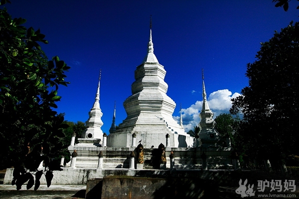 在西双版纳过个热带春节1
