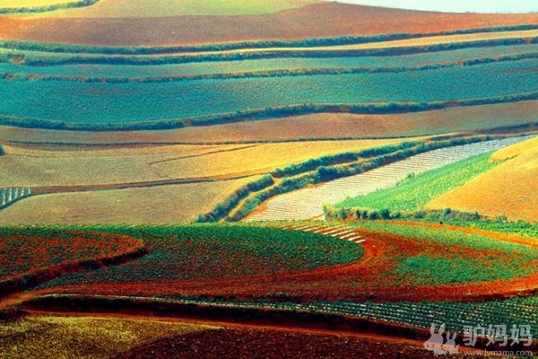 昆明：东川红土地6