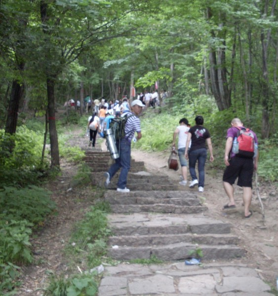 六月登山记之——帽儿山5