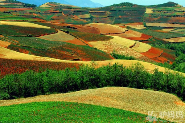 昆明：东川红土地3