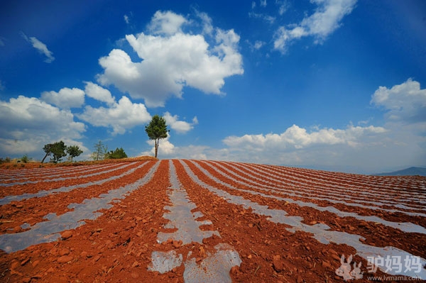 昆明：东川红土地8