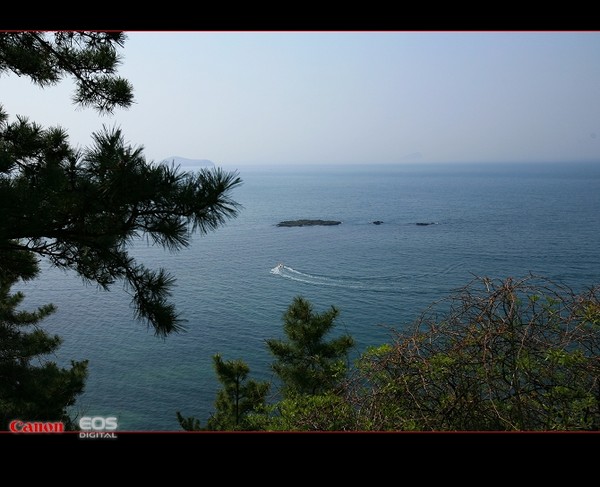 2009年51看海3--滨海路贝壳博物馆至付家庄徒步 -6