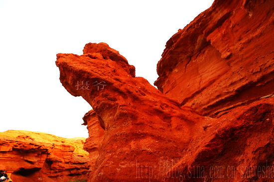 自驾阿拉善 探寻秘境梦幻大峡谷(组图)1