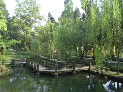 冬日温情 重庆温泉全攻略(图)2