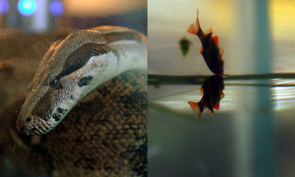 重庆二日的浮光掠影6