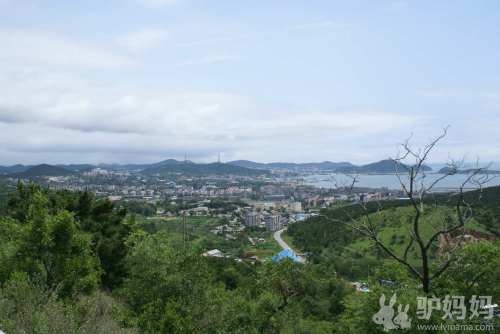大连旅顺一日游_大连西炮台观旅顺全景3