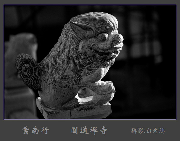 云南行（2）——圆通禅寺（续）12