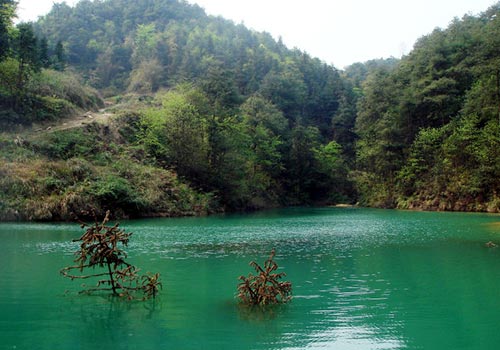 流连山水间 寻找山城重庆美丽的初夏1