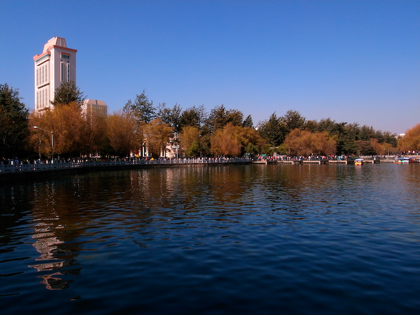 红嘴鸥到来--昆明翠湖公园1