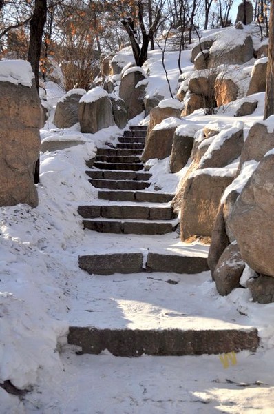 2010哈尔滨太阳岛雪博会~6