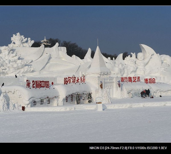 银白假期___没啥好看的雪雕5