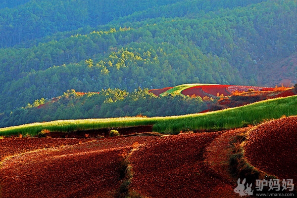 昆明：东川红土地12