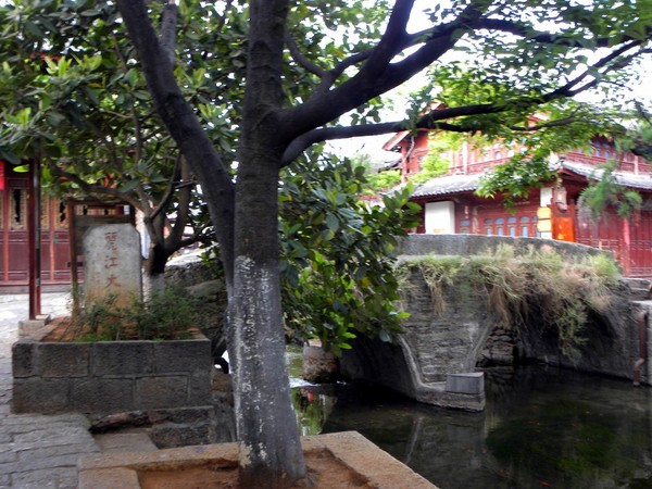 一个80的北京大爷拍的丽江片片，，真是不错！2