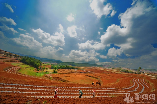 昆明：东川红土地11