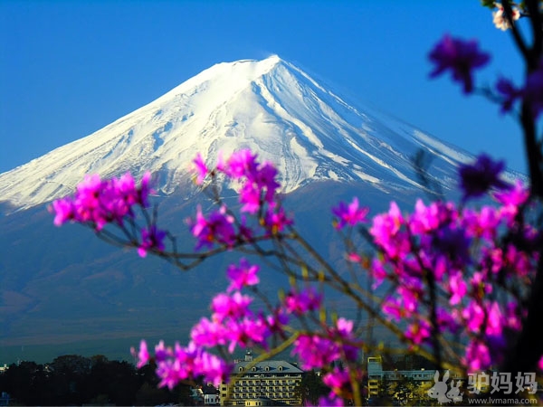 日本著名的旅游景点：红叶落樱下的自然之美7