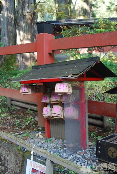 日本旅游特色：神佛交融，用以虔诚修行的奇妙建筑8