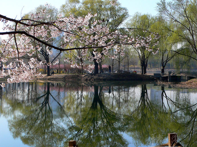  北京元旦去哪玩2