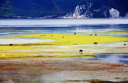 丽江游记 云南印象1