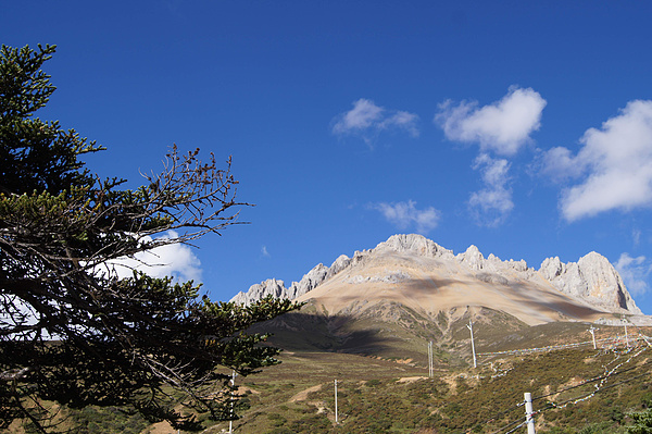 丽江—香格里拉—梅里三地雪山七日自由行游记2