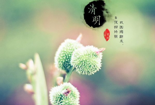 2016年滁州清明扫墓专线1