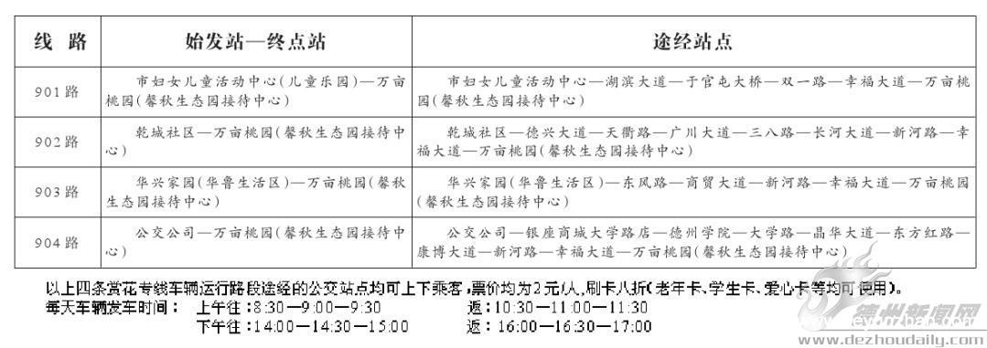 德州公交临时开通赏花专线1