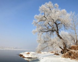 2017过年去哪里旅游便宜