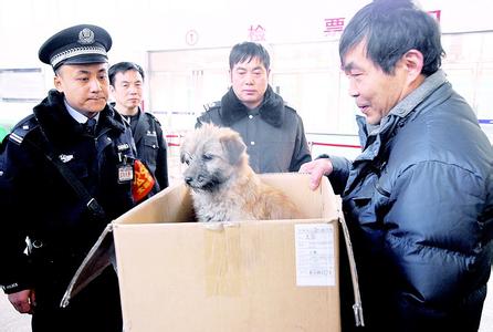 动车可以带宠物吗1