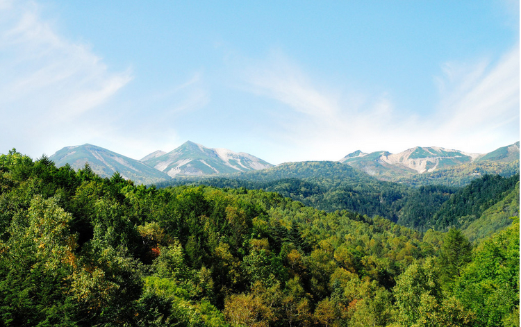 2014年黄山端午节天气1