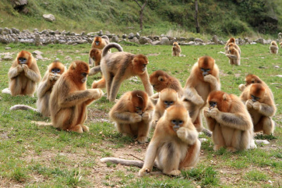 2014年江西中秋节旅游推荐
