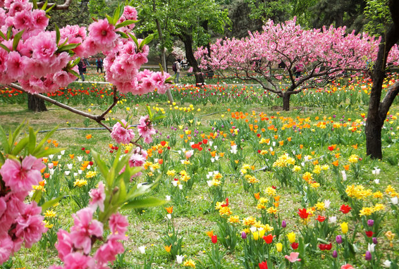 2015北京端午节去哪里玩好