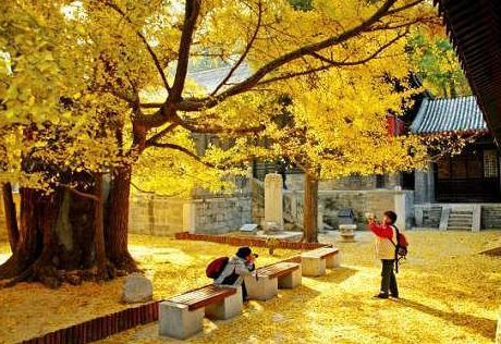 2015南昌中秋节天气2