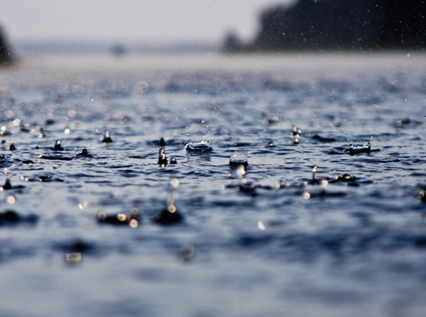 2015年雨水时间1