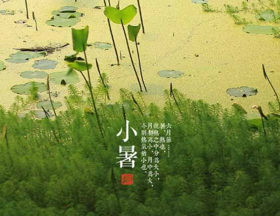 2015年小暑节气在什么时候