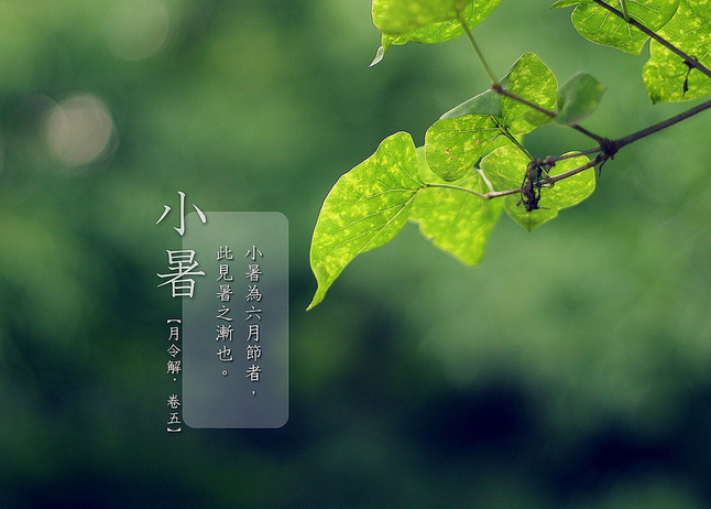 2015小暑节气是哪一天